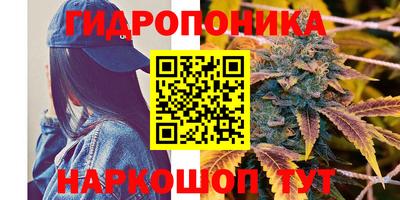 сатива Шелехов